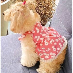 Daisy Breathable Pink‎ Dog Cat XXL Pet Dress NWOT
